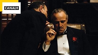 Les 30 meilleurs films à voir sur CANAL+ Grand Ecran : Le Parrain, Forrest Gump, Seven… 