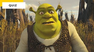 image de la news Quiz animation : êtes-vous un vrai fan de Shrek, Madagascar, Dragons... ?