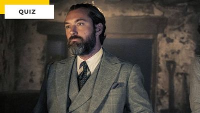 image de la news Quiz Animaux fantastiques : avez-vous une aussi bonne mémoire que Dumbledore ?