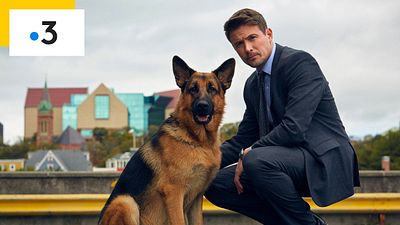 image de la news Hudson & Rex sur France 3 : ce qui vous attend dans la saison 3