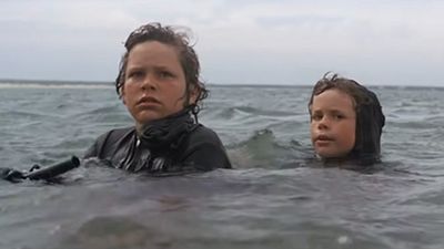 image de la news Les Dents de la mer : un des enfants du film a trouvé un travail trop beau pour être vrai !