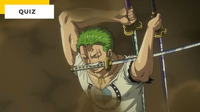 image de la news Quiz One Piece : connaissez-vous les films de la saga sur le bout des doigts ?