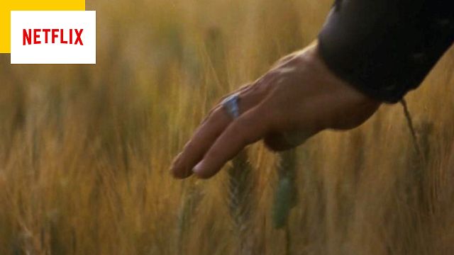 image de la news Netflix : l'un des meilleurs films des années 2000 va quitter la plateforme (mais il aura une suite)