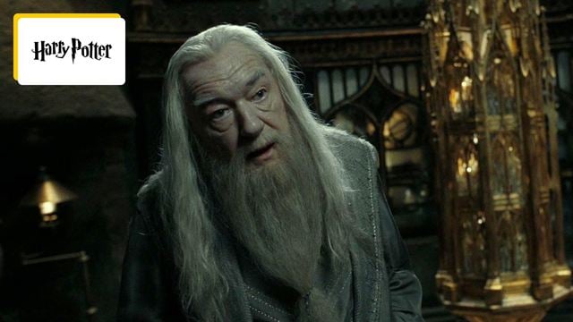 Le plus vieux personnage de Harry Potter ? Voilà quel âge a Dumbledore
