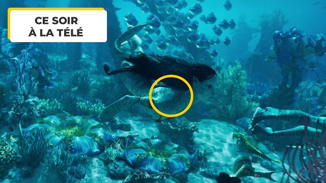 image de la news Avatar 2 : appuyez sur pause à 59 minutes et 11 secondes, la seule erreur visuelle du film se trouve ici