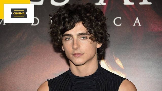 Timothée Chalamet : une émeute provoquée par l'avant-première de son nouveau film Bones and All