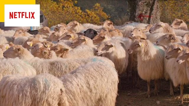 Netflix : échec au cinéma, cette comédie française cartonne sur la plateforme