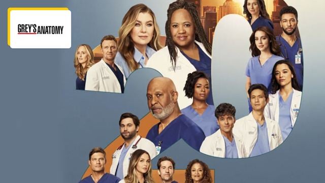 "Jusqu'à ce qu'ils me disent de poser ce stylo" : la saison 20 de Grey's Anatomy sera t-elle la dernière ?