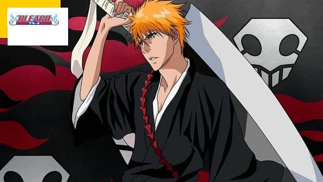 image de la news Bleach sur Disney+ : cinq bonnes raisons de revoir la série animée !