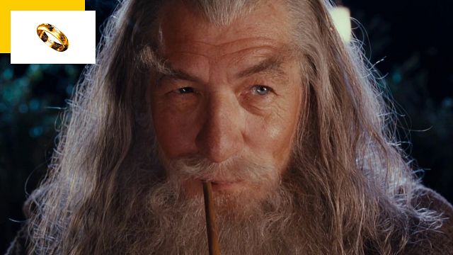 image de la news Le Seigneur des Anneaux : déguisé en Gandalf en pleine rue, ce fan a eu la surprise de sa vie !