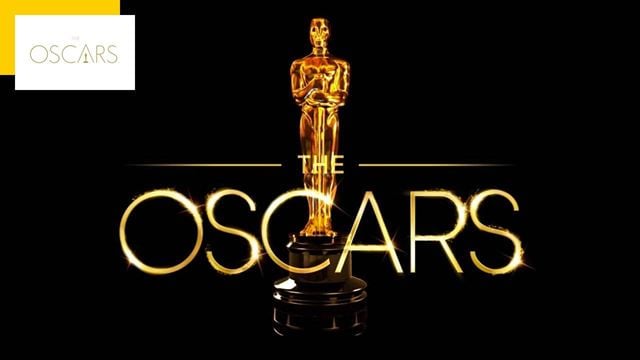 "Elles me font vomir" : cette star attaque violemment les nouvelles règles des Oscars sur la diversité