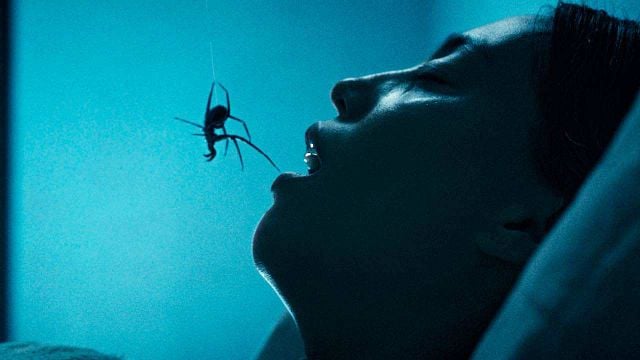 image de la news Premières images Crawlers : 3 ans après Vermines, ce film va-t-il devenir le nouveau phénomène horrifique de l'année ? La bande-annonce est prometteuse !