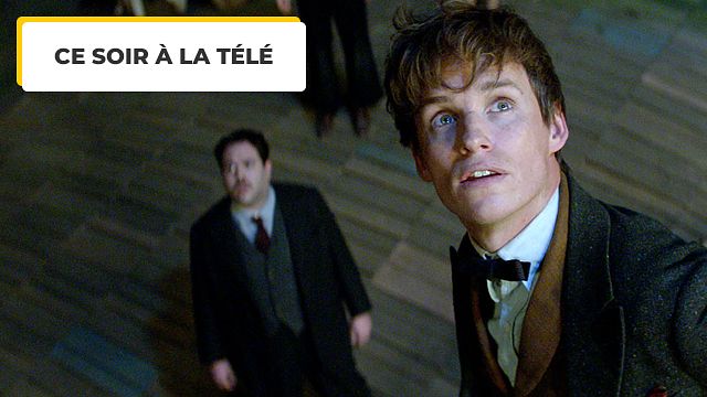 image de la news Ce soir à la télé : Harry Potter vous manque ? Le petit sorcier a trouvé ses successeurs