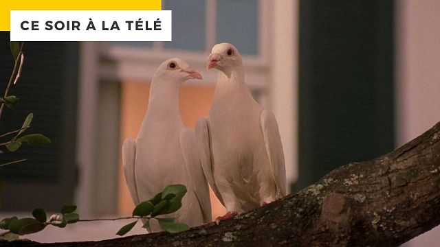image de la news Ce soir à la télé : l’une des seules comédies à rester trash 25 ans après sa sortie