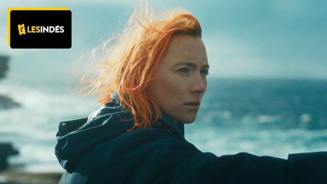 Saoirse Ronan : elle a vraiment fait naître un agneau sur le tournage de The Outrun