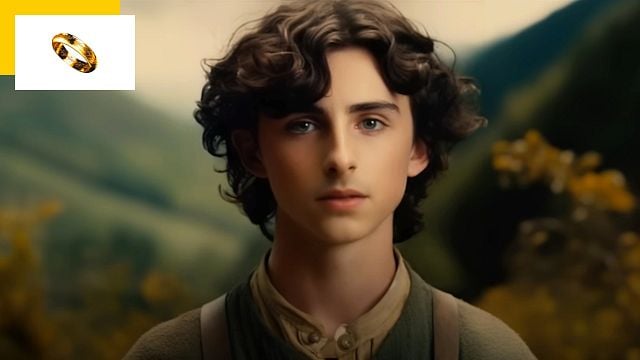 image de la news Timothée Chalamet est Frodon ! Découvrez la bande-annonce du Seigneur des Anneaux version Wes Anderson