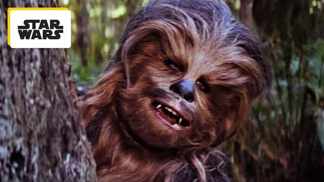 C'est l'un des sons les plus connus du cinéma : le cri de Chewbacca mélange en réalité trois cris d'animaux