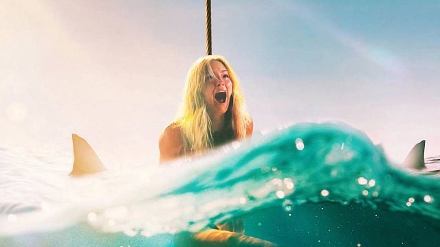 image de la news "Le meilleur film de requins de tous les temps" : noté 4 étoiles sur 5 c'est le film préféré des spectateurs