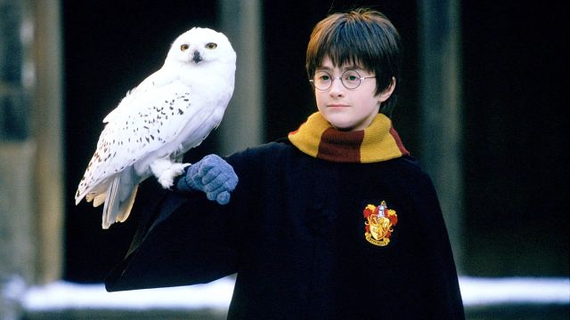 image de la news Harry Potter : ces scènes absentes du premier film qu’on espère voir dans la série !