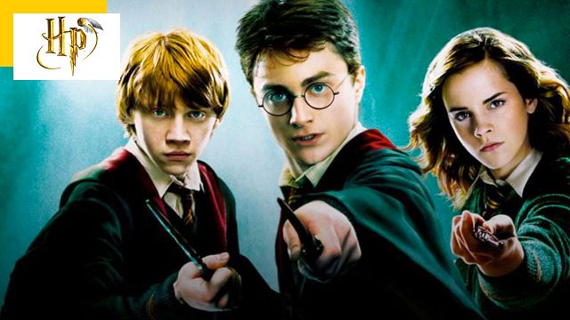 image de la news Harry Potter : la colère des fans sur les réseaux sociaux après l’annonce de la série