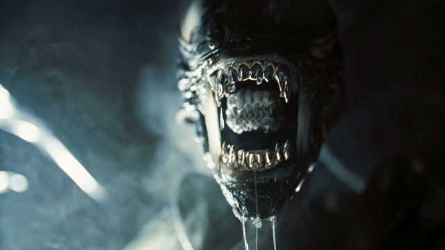 image de la news Alien Romulus : la suite du film de science-fiction abandonnée ? Le studio répond aux rumeurs