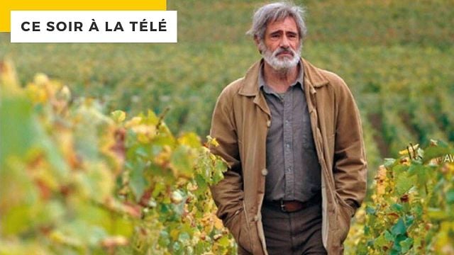 Ce soir à la télé : Gérard Lanvin en vigneron ? On signe tout de suite !