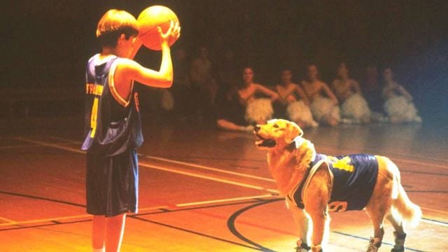 image de la news Ce soir en famille : tous les enfants des années 90 connaissent ce film par coeur ! 28 ans après, il est toujours aussi irrésistible