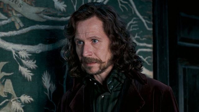 image de la news Depuis 18 ans, cette magnifique réplique redonne du courage à tous les fans de Harry Potter