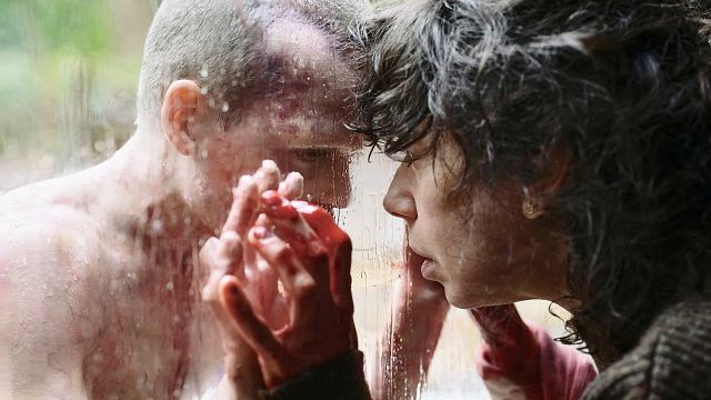 image de la news Interdit aux moins de 16 ans, ce thriller fantastique va vous troubler et vous émouvoir... Un exploit rare pour un film aussi radical !