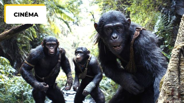 La Planète des singes 2024 : "Mes cuisses sont devenues énormes"... Un véritable défi physique pour les acteurs du Nouveau Royaume !