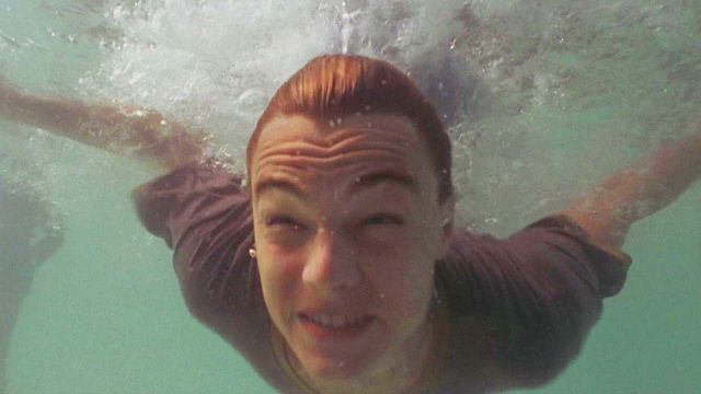 image de la news 144 millions de dollars : ce gros succès des années 2000 avec Leonardo DiCaprio a provoqué une véritable catastrophe écologique