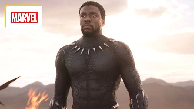 image de la news Black Panther 3 : bientôt un nouvel acteur pour incarner ce super-héros Marvel ?