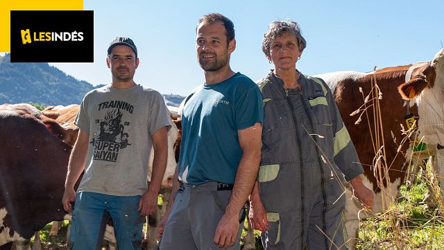 image de la news Un portrait familial sur plus de 50 ans : découvrez le quotidien d’une famille d’éleveurs sur quatre générations