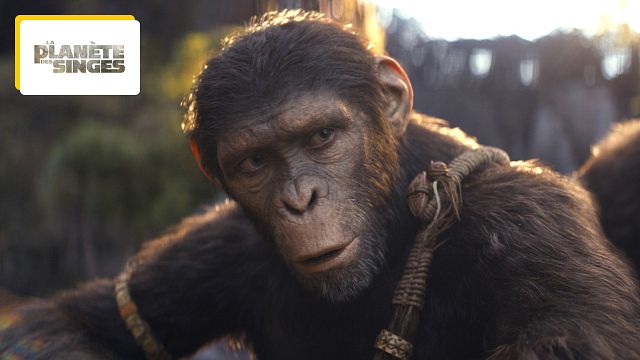 image de la news La Planète des Singes Le Nouveau Royaume : on vous résume la fin du précédent film Suprématie