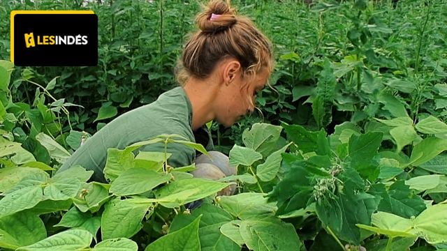 À voir au cinéma : un portrait de femme face aux difficultés du monde agricole qui force l’admiration !