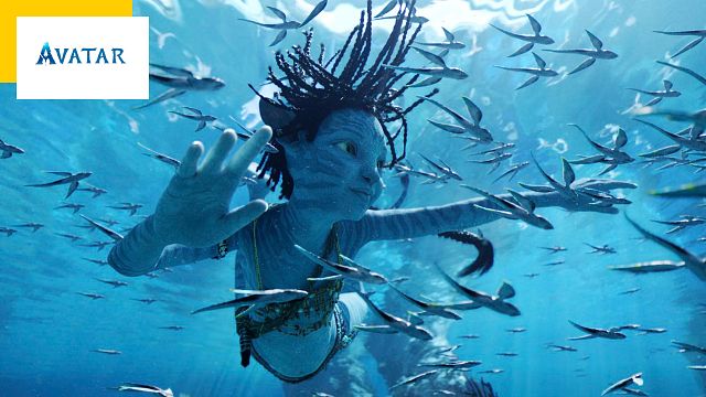 image de la news Avatar 2 : la première critique est tombée !