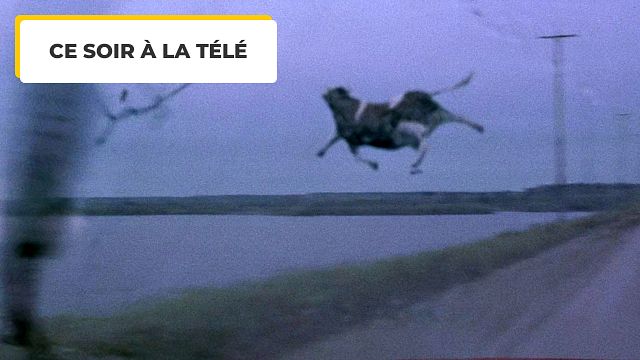 image de la news Ce soir à la télé : le film d'action dont l'héroïne est une tornade de catégorie 5 !