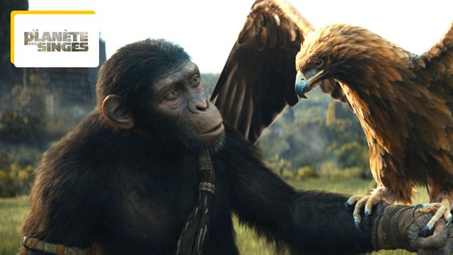 La Planète des singes 2024 : "Un spectacle grandiose"... Premiers avis très positifs sur le film Le Nouveau Royaume !