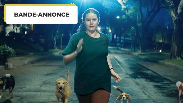 Amy Adams comme vous ne l'avez jamais vue ! L'un des films les plus délirants de l'année s'offre une bande-annonce !