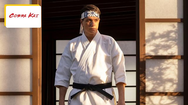 image de la news Cobra Kai : le tournoi de karaté Sekai Taikai existe-t-il vraiment ?
