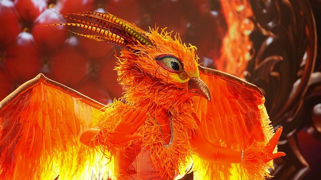 image de la news Mask Singer : quelles stars ont déjà été découvertes dans l’émission ?