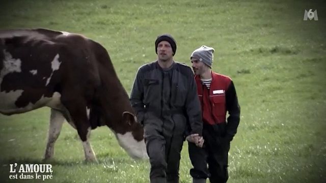 image de la news Julien et Thibault (L’amour est dans le pré) : ce détail qui a mis le couple en "crise" (spoiler)