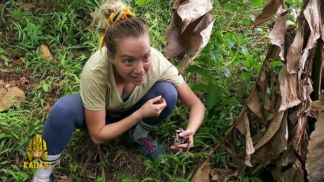 image de la news Koh-Lanta : les caméramans savent-ils où sont cachés les colliers d’immunité ?