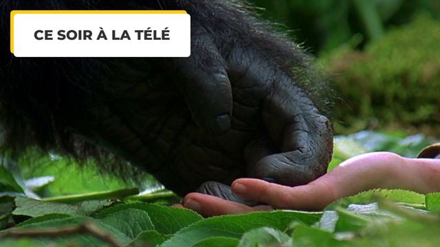 Ce soir à la télé : le destin de cette femme incroyable a ému des millions de spectateurs à travers le monde