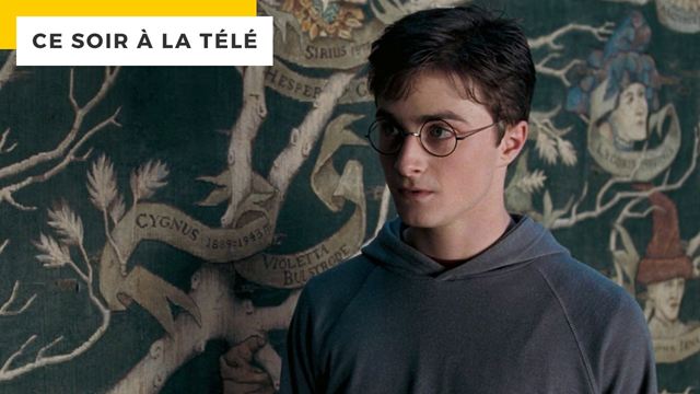 Harry Potter 5 : appuyez sur pause à 1 heure et 13 minutes, et regardez bien cette tapisserie