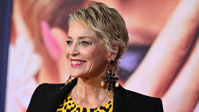 image de la news "Ils sont tellement misogynes" : Sharon Stone évoque son travail avec les grandes stars d'Hollywood