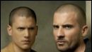 image de la news "Prison Break" : tout sur la saison 2 !