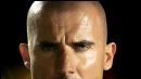 image de la news Dominic Purcell : la saison 4 de "Prison Break"...