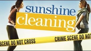 "Sunshine Cleaning" décliné en série ?