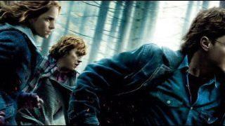 Box-office : Potter prend de la hauteur